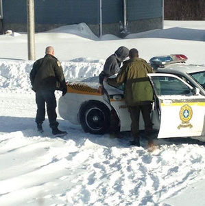 Meet your Posher, Chado-jr